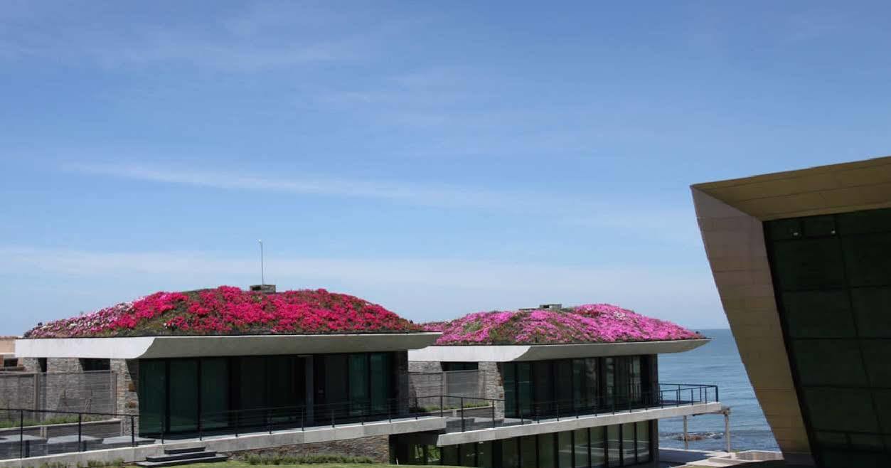 Playa Vik Jose Ignacio Βίλα Εξωτερικό φωτογραφία